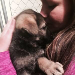 Meet your Posher, Lindsay