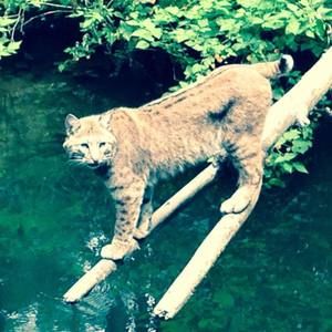 Meet your Posher, Catrina