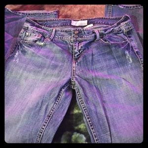 Maurice's Ani flare jeans