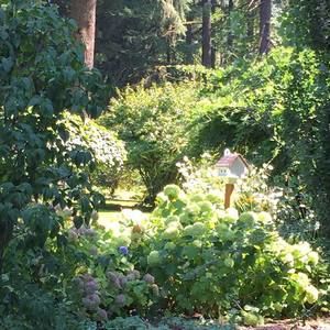 Meet your Posher, Helen