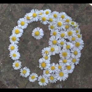 Meet your Posher, Les