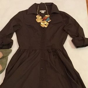 Button Down Dress with Full Skirt