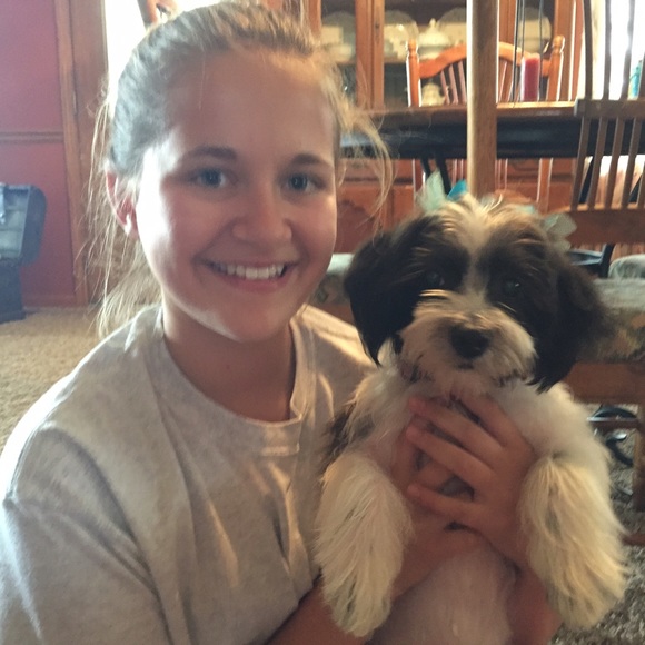 Meet your Posher, Tomi - Picture 1 of 1