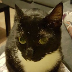 Meet your Posher, Lisa
