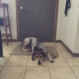 Meet your Posher, Anne