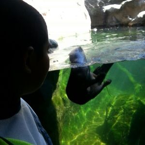 Meet your Posher, Claudia