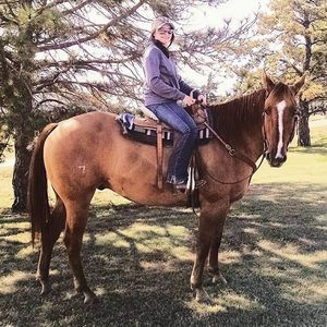 Meet your Posher, Lindsey