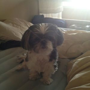 Meet your Posher, Robin