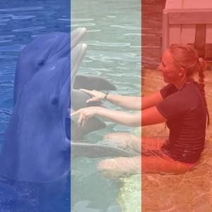 Meet your Posher, Tori