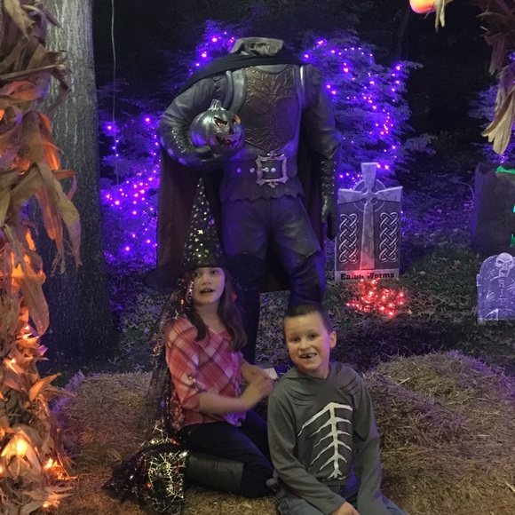 Meet your Posher, Mandy - Picture 3 of 4