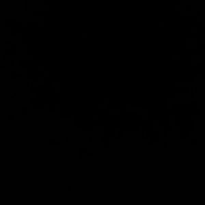 Meet your Posher, Miguel