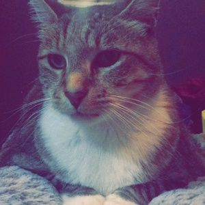 Meet your Posher, Holly