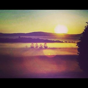 Meet your Posher, Mallory