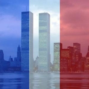 Meet your Posher, Suzanne