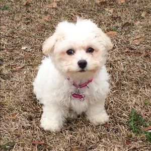 Meet your Posher, Dana