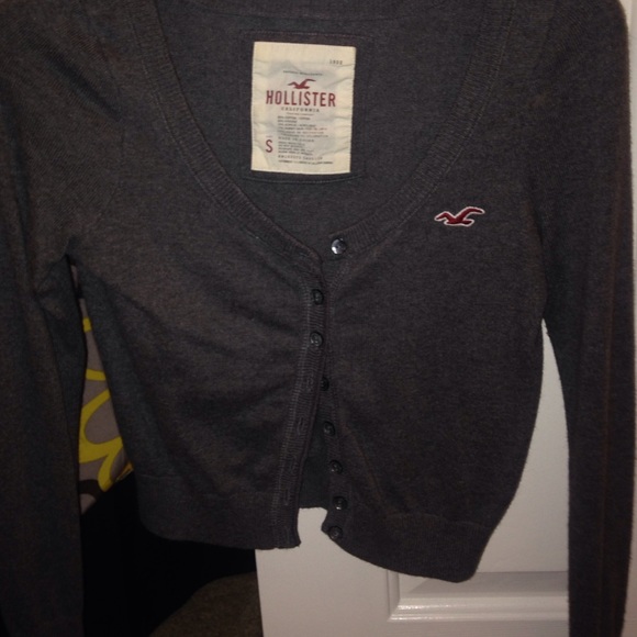 Gray hollister jacket