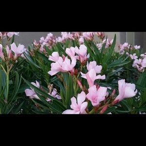 Meet your Posher, Briana