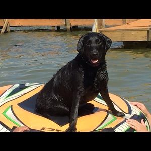 Meet your Posher, Angela