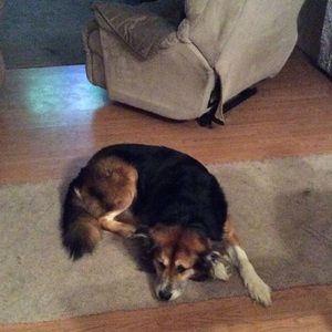 Meet your Posher, Susan