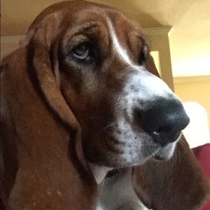 Meet your Posher, Kim