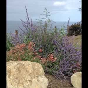 Meet your Posher, Claudia