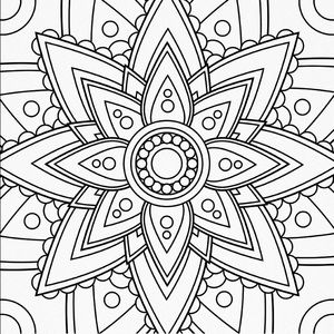 Meet your Posher, Mackenzie