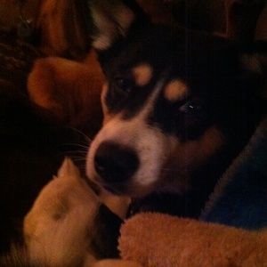 Meet your Posher, Vicky