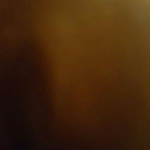 Meet your Posher, Penny