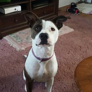 Meet your Posher, Alicia