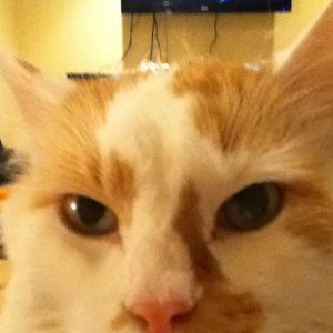 Meet your Posher, Brett