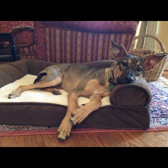 Meet your Posher, Gabriela