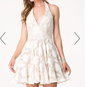 Fit and flare white lace and mesh dress by bebe