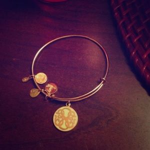 Alex and ani gold path of life bracelet