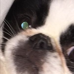 Meet your Posher, Patty