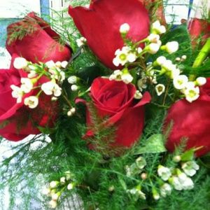 Meet your Posher, Freida