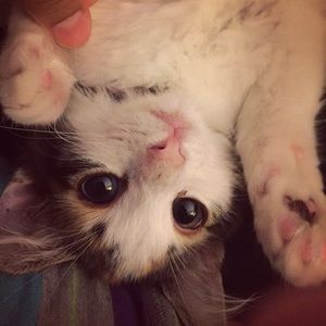 Meet your Posher, Myra