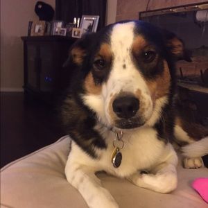 Meet your Posher, Robin