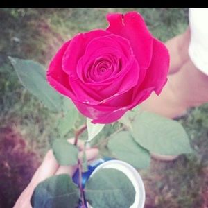 Meet your Posher, Brittani