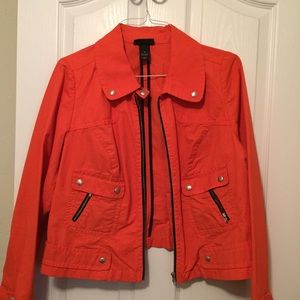 Cropped Motorcycle Jacket