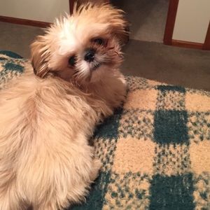 Meet your Posher, Amy