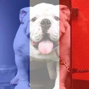 Meet your Posher, Marian