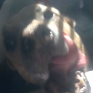 Meet your Posher, Rachelle