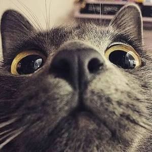 Meet your Posher, Brian