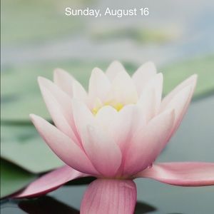 Meet your Posher, Maria