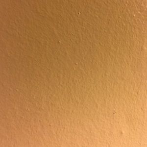 Meet your Posher, Wayne