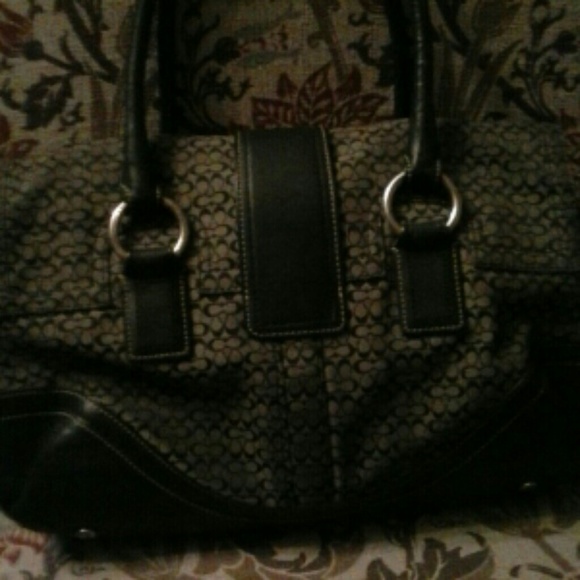 Coach - Picture 3 of 4
