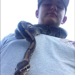 Meet your Posher, Brady