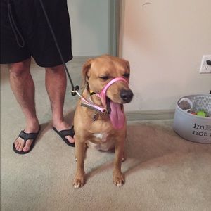 Meet your Posher, Kristie