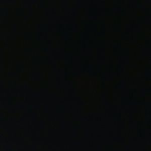 Meet your Posher, Nina