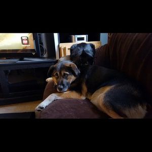 Meet your Posher, Christie